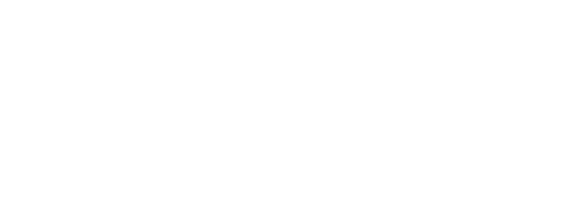 SailPoint Logo White